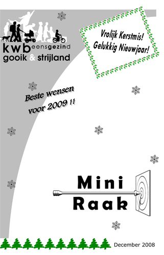 Kaft van Mini Raak 200812